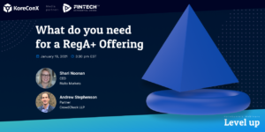 What do you need for a RegA+ Offering